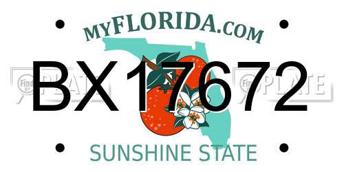 BX17672 Florida License Plate