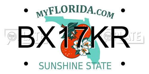 BX17KR Florida License Plate