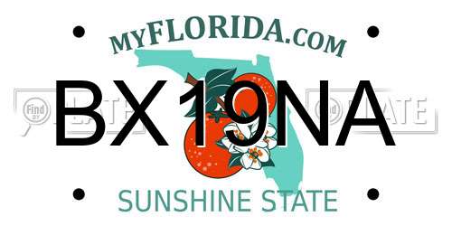BX19NA Florida License Plate