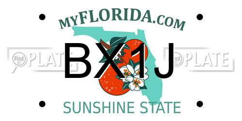 BX1J Florida License Plate