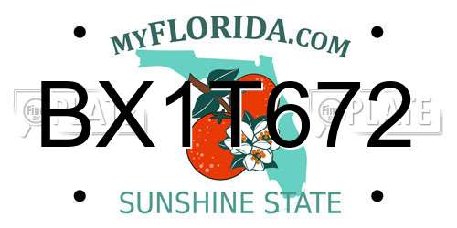 BX1T672 Florida License Plate