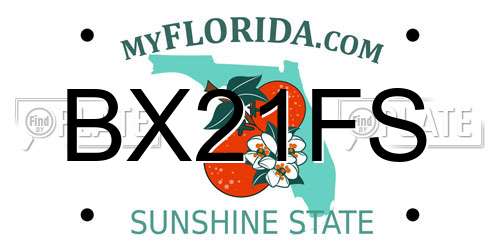 BX21FS Florida License Plate
