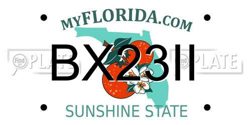 BX23II Florida License Plate