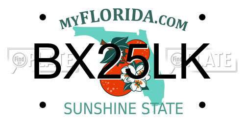 BX25LK Florida License Plate