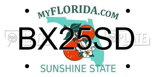 BX25SD Florida License Plate