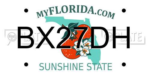 BX27DH Florida License Plate