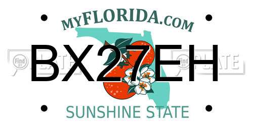 BX27EH Florida License Plate