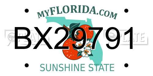 BX29791 Florida License Plate