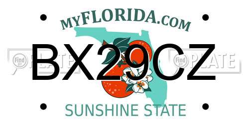 BX29CZ Florida License Plate