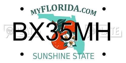BX35MH Florida License Plate