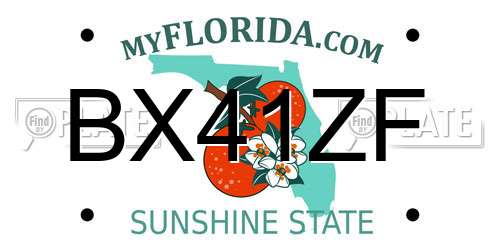 BX41ZF Florida License Plate