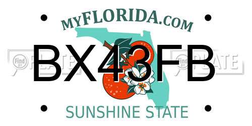 BX43FB Florida License Plate