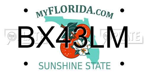 BX43LM Florida License Plate