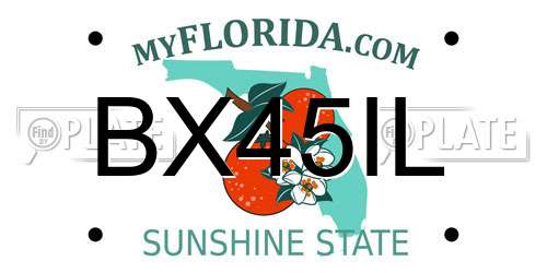 BX45IL Florida License Plate