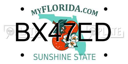BX47ED Florida License Plate