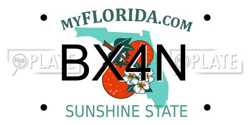 BX4N Florida License Plate