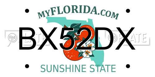BX52DX Florida License Plate