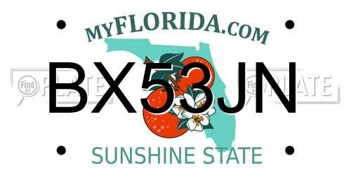 BX53JN Florida License Plate