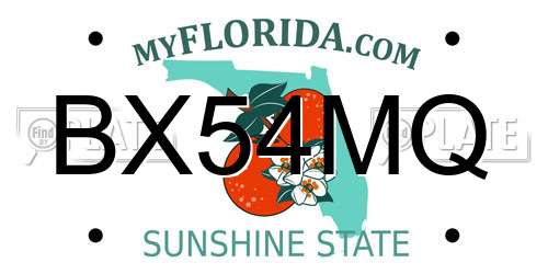 BX54MQ Florida License Plate