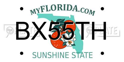 BX55TH Florida License Plate