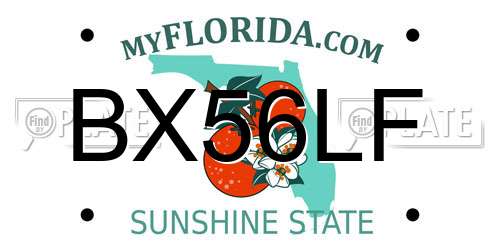 BX56LF Florida License Plate