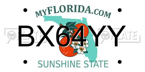 BX64YY Florida License Plate