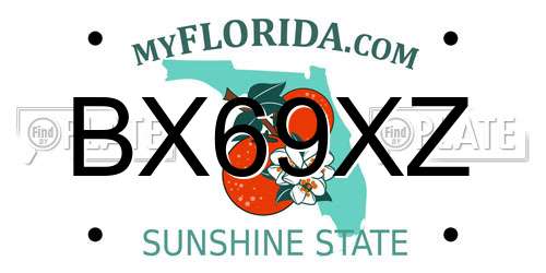 BX69XZ Florida License Plate