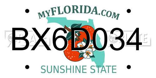 BX6D034 Florida License Plate