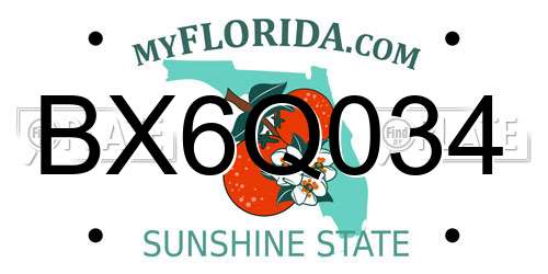 BX6Q034 Florida License Plate