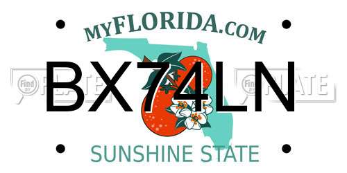BX74LN Florida License Plate