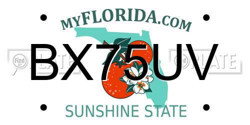 BX75UV Florida License Plate