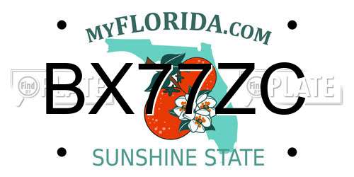 BX77ZC Florida License Plate