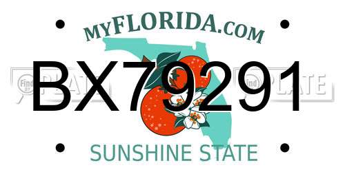 BX79291 Florida License Plate