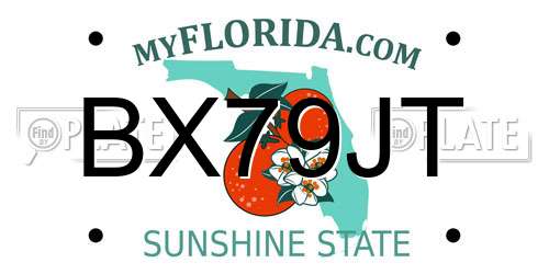 BX79JT Florida License Plate