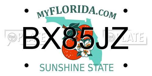 BX85JZ Florida License Plate