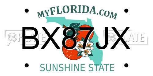 BX87JX Florida License Plate