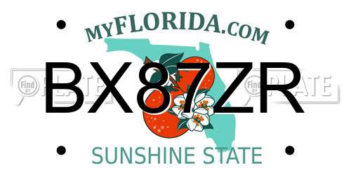BX87ZR Florida License Plate