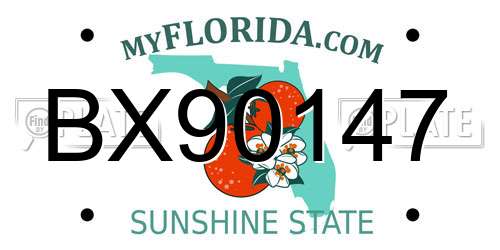 BX90147 Florida License Plate