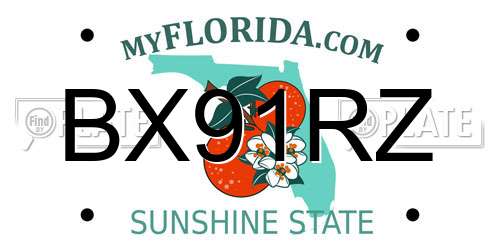 BX91RZ Florida License Plate