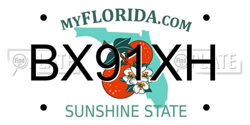 BX91XH Florida License Plate