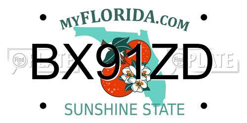 BX91ZD Florida License Plate