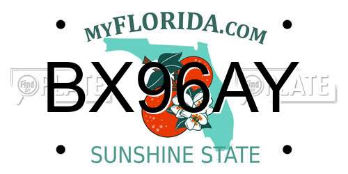 BX96AY Florida License Plate