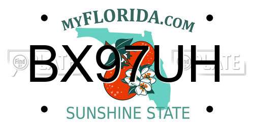 BX97UH Florida License Plate