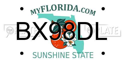 BX98DL Florida License Plate