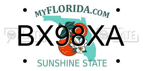 BX98XA Florida License Plate