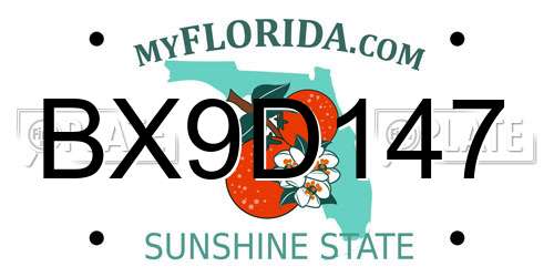BX9D147 Florida License Plate