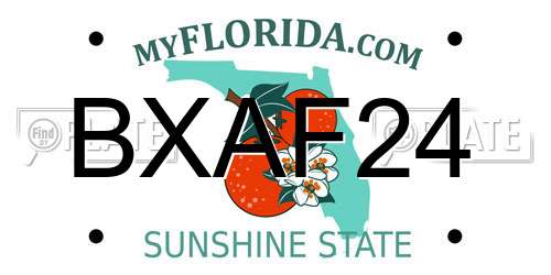 BXAF24 Florida License Plate