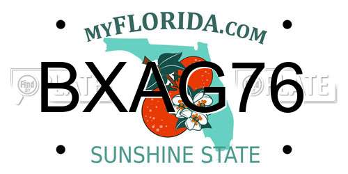 BXAG76 Florida License Plate