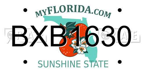 BXB1630 Florida License Plate