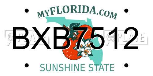 BXB7512 Florida License Plate